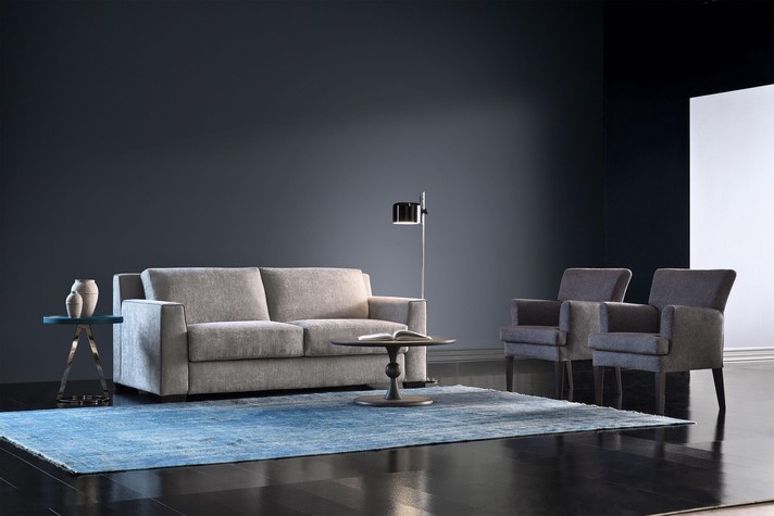 Canapé convertible pour tous les jours dans un salon moderne